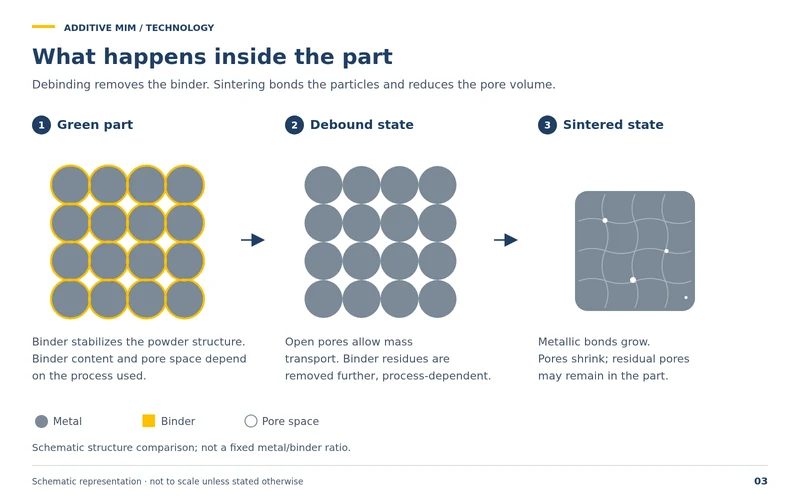 What happens inside the part: green part, debinded state and sintered state at particle level. Debinding removes the binder, sintering bonds the particles and reduces the pore volume.