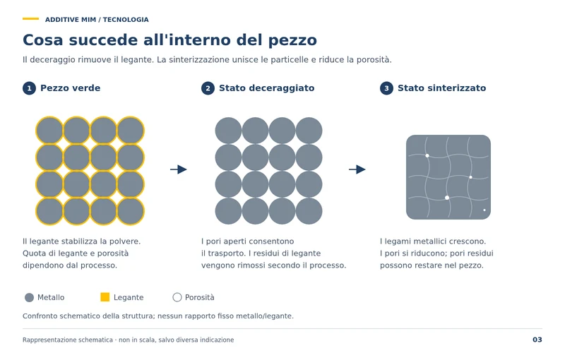 Che cosa accade all'interno del componente: pezzo verde, stato decerato e stato sinterizzato a livello di particelle. Il deceraggio rimuove il legante, la sinterizzazione lega le particelle e riduce il volume dei pori.